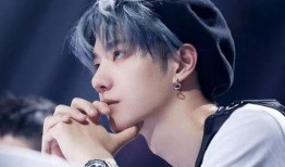 宋妍菲最新爆料消息新闻,揭秘娱乐圈惊人内幕