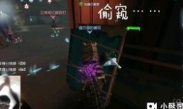 第五人格伊莱爆料视频