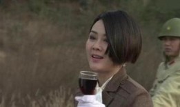 红狐全集在线观看,揭秘神秘红狐家族的传奇故事