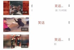 师大导师吃瓜视频下载免费,免费下载背后的真相