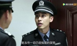 警察锅哥2在线观看,在线追凶，正义再起
