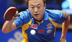 马琳爆料王励勤视频大全,王励勤视频大全背后的故事