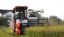 河南收割机爆料人名单最新,揭秘背后真相与人物命运