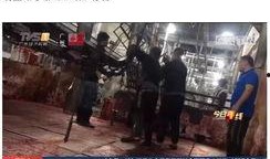 猪肉爆料视频大全集最新,揭秘行业真相与食品安全