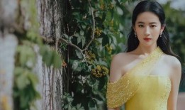 卓勇爆料刘亦菲李现视频,娱乐圈再掀波澜