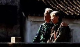 归乡母在线观看,穿越时空的亲情之旅