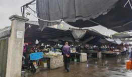 岑前村拆迁爆料新闻视频