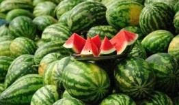 康县网红二饼吃瓜视频,揭秘网络红人的日常生活