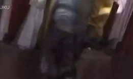 红狐全集在线观看,揭秘神秘红狐家族的传奇故事