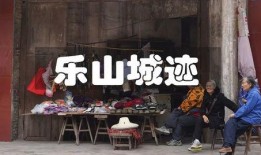 乐山吃喝爆料事件视频,独家揭秘网红餐厅背后的真相