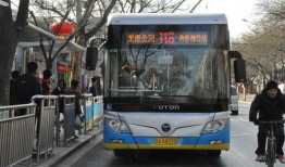 116路公交车爆料视频,一幕幕温馨瞬间引网友热议