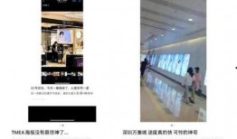 北京爆料蔡徐坤视频全集,揭秘背后真相与争议