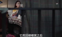 三姐爆料视频大全集播放,揭秘幕后真相，带你走进事件核心