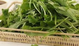 马路边吃野瓜视频下载免费,免费下载马路边吃瓜视频，共享夏日清凉时光