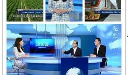 甘肃电视台新闻爆料,揭开某地违法违规乱象真相