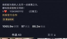 爆料萍乡网红视频,揭秘幕后故事与网络影响力