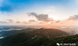 潮州爆料曝光新闻视频最新,最新曝光新闻视频引发热议