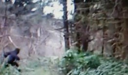 马路边吃野瓜视频下载免费,免费下载马路边吃瓜视频，共享夏日清凉时光