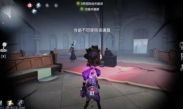 时空之影故事视频爆料,揭秘神秘视频背后的奇幻冒险之旅