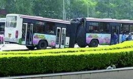116路公交车爆料视频,一幕幕温馨瞬间引网友热议