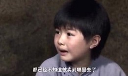 鹤轩妈妈爆料视频大全集,揭秘育儿生活点滴