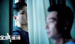 全城通缉在线观看,紧张刺激的追捕大戏