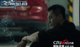 全城通缉在线观看,紧张刺激的追捕大戏