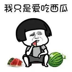 娱乐圈的瓜吃的太多了